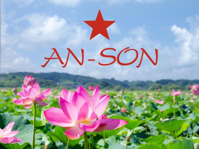 An-Son Apartamenty