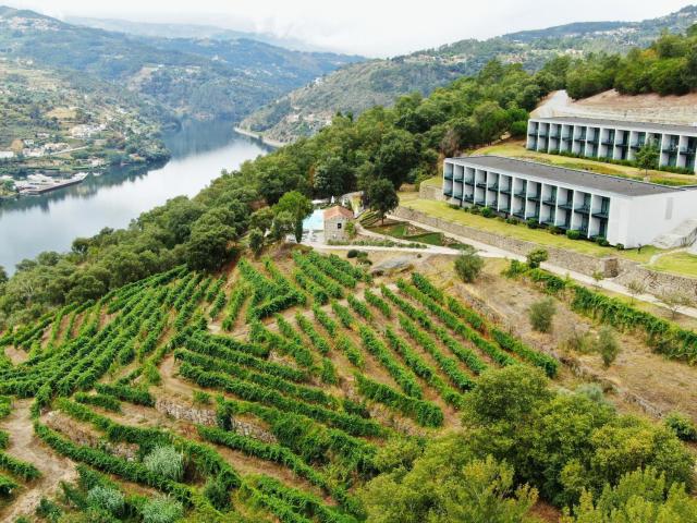 Douro Palace Hotel Resort & SPA