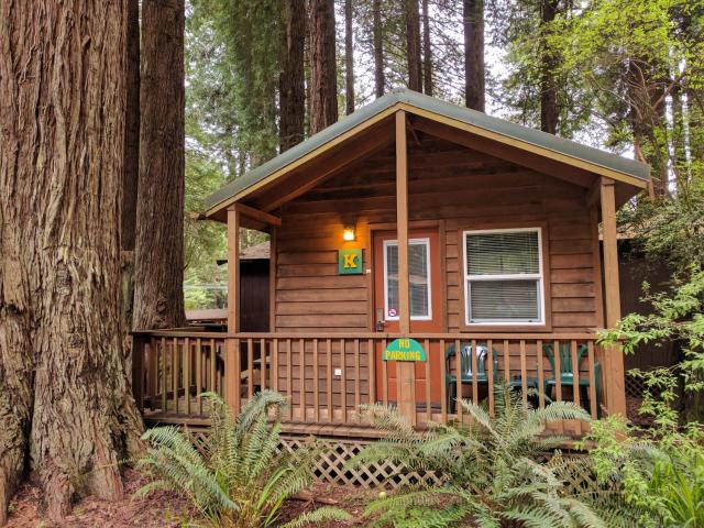 Emerald Forest Cabins