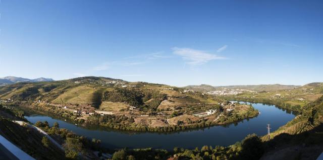 Delfim Douro Hotel