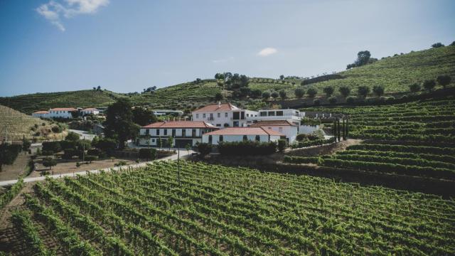 Casal dos Capelinhos - Douro