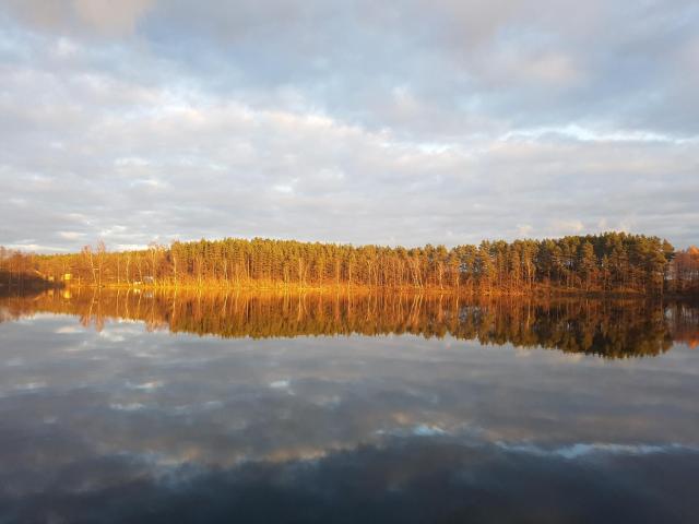 Agro Breza domek nad samym jeziorem- sauna, balia ogrodowa