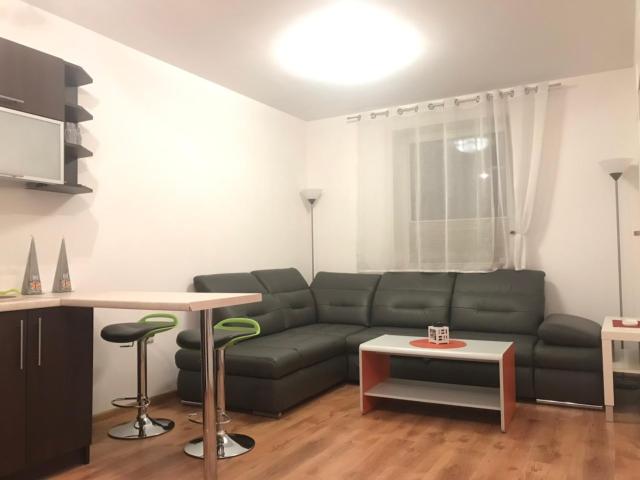 Apartament Studio Ryska