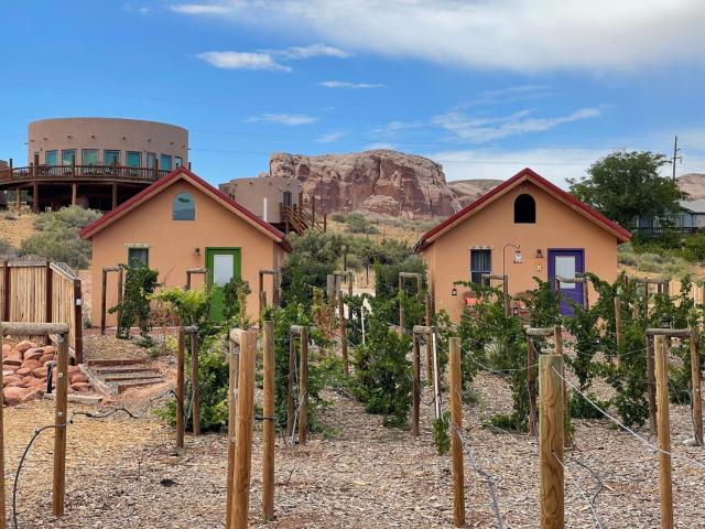 Willow Street Cottages