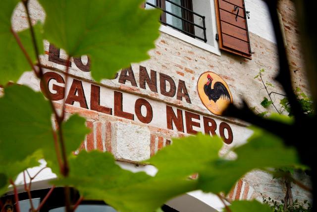 Al Gallo Nero