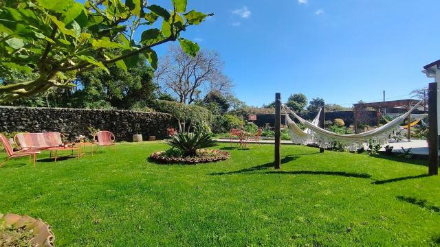 Quinta dos Sentidos , Rustic Holiday Houses in São Vicente Ferreira