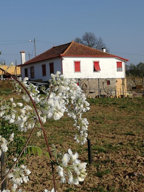 Casa da Vinha Grande