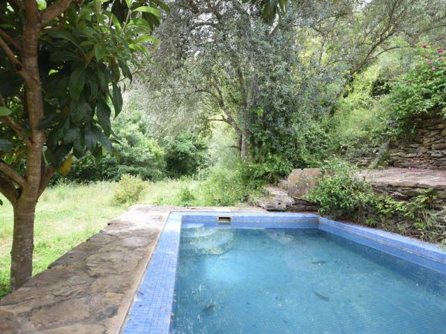 Quiet and cottage in the estate Casas da Cerca