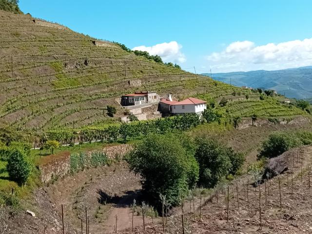 Casa da Quinta do Porto