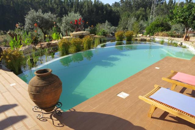 Casa Azul self-catering apartment with gorgeous biological swimming pool