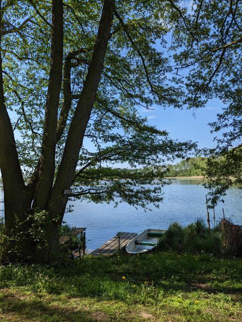 Ferienhaus am See mit Ruderboot