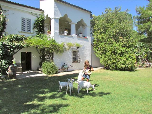 Agriturismo "Borgo Madonna degli Angeli" - charming cottages in the gardens !