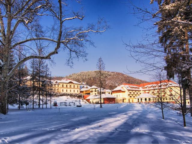 Erzsébet Park Hotel