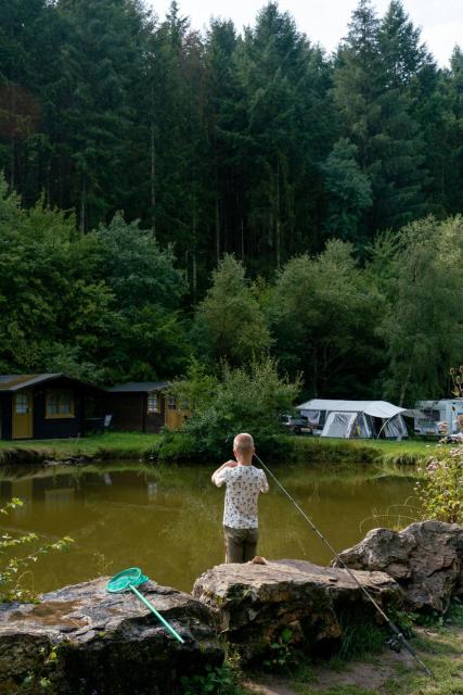 Camping Bockenauer Schweiz