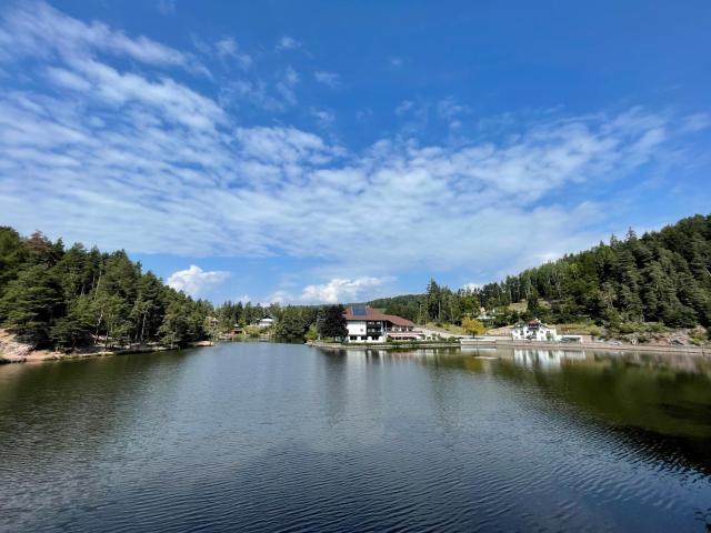 Hotel Am Wolfgrubenersee