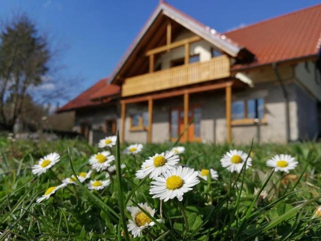 Wandertraum Johann - FeWo Eifel