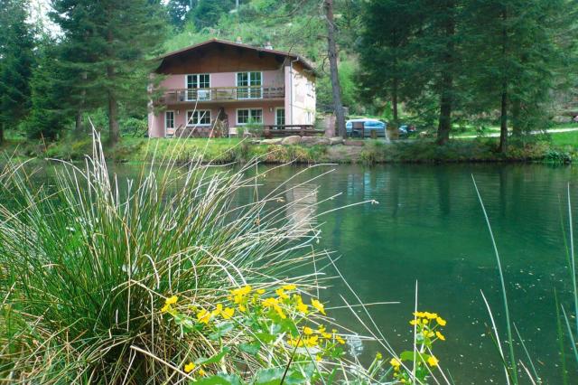 Cosy apartment on Forellenhof, Zorn Valley, Dabo