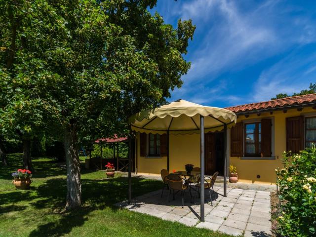 Authentic farmhouse in Castiglion Fiorentino with organic wines