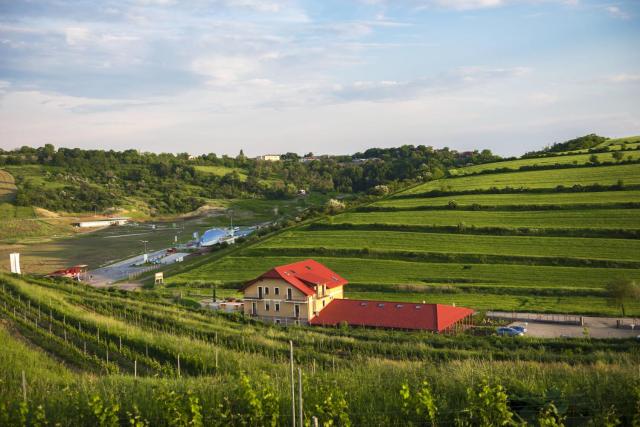 Sarea-n Bucate (Crama la Salina)