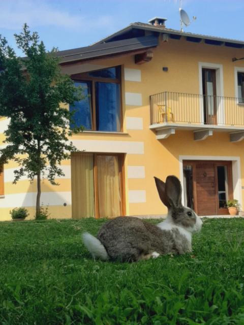 Agriturismo Fior Di Campo