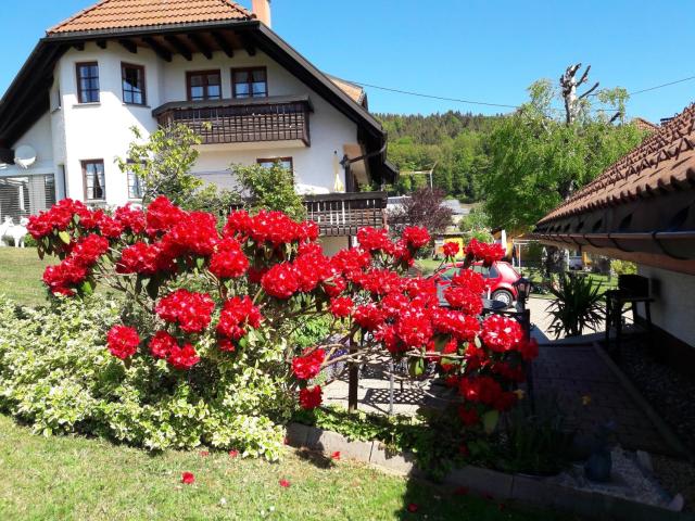 Wunderschöne Ferienwohnung im Haus Schupp mit bester Aussicht