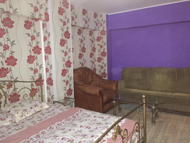 Ultracentral apartament Bacau