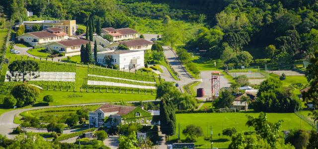 Hotel Villa Michelon