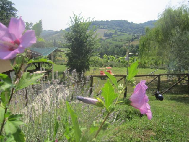 Le Spighe Agriturismo