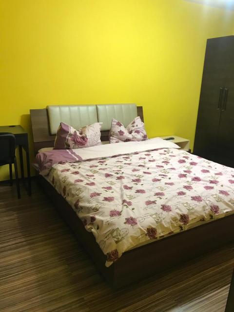 Cozy Park Studio in city center, Campina