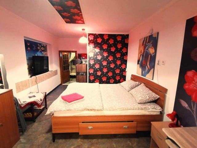 Hostel Pascalis Alesd