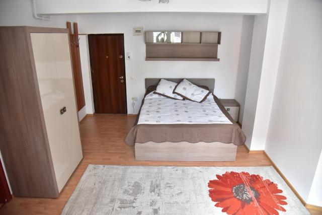 Apartament Frunzei