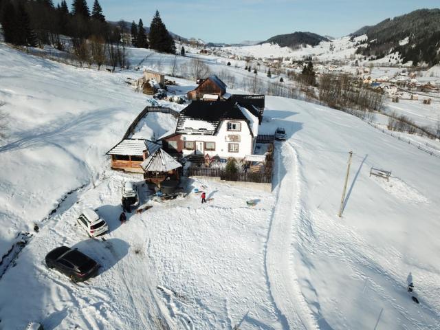 Bucovina mea