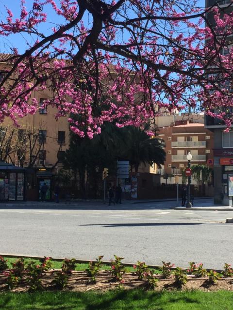 Hotel Cosmos Tarragona