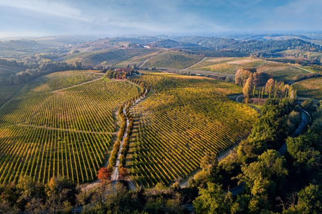 Tenuta La Meirana Gavi