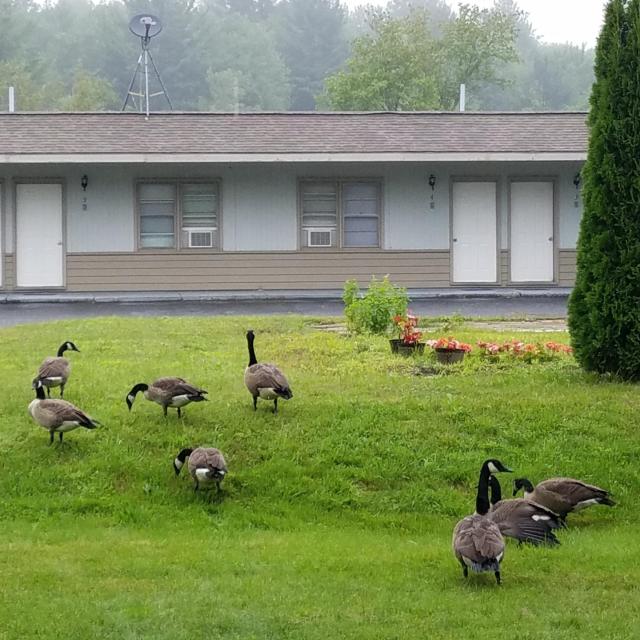 The becket Motel