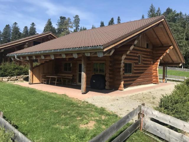 Blockhaus Almhütte Wiesenglück