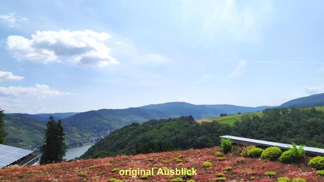 Schau-Rhein#2 - on Top of Bacharach, Rhineview