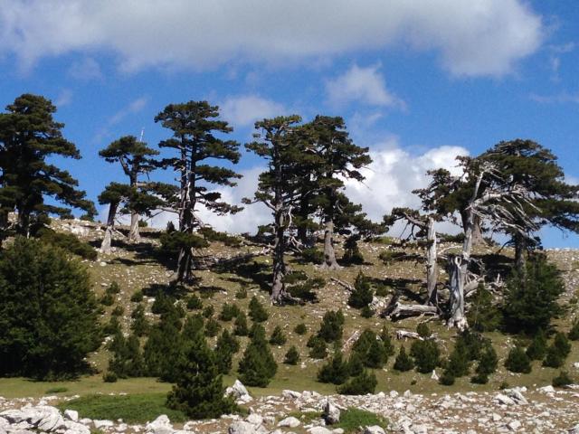 Casa Vacanze Cuore del Pollino