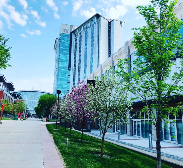 SAIT Residence & Conference Centre - Calgary