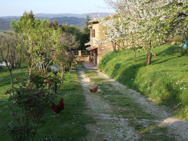 Podere La Vigna Locazione Turistica