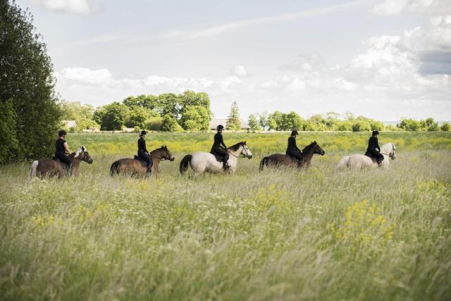 Tihuse Horsefarm B&B