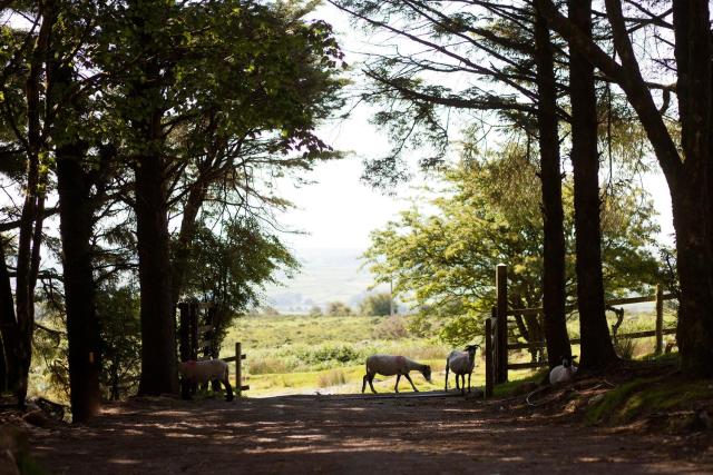 Wheal Tor Hotel & Glamping