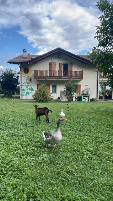 Agriturismo Girasole