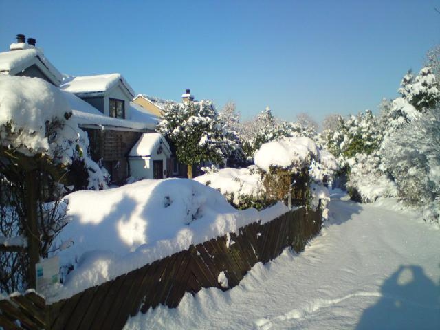 Sycamore Cottage