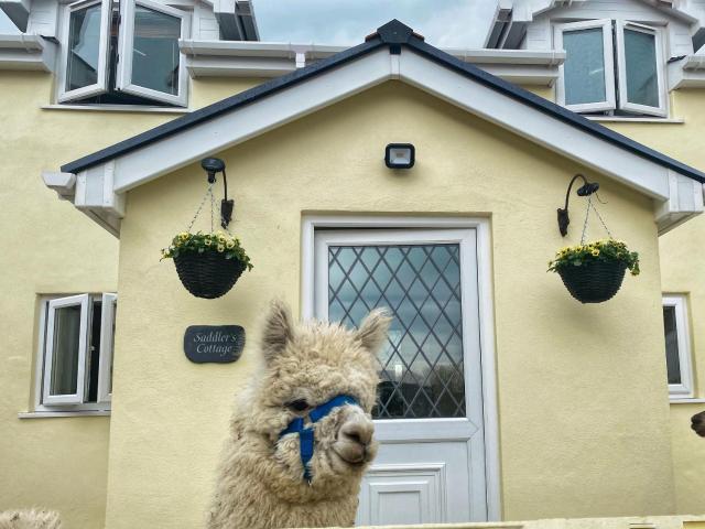 Saddlers Cottage, Berllandeg Farm