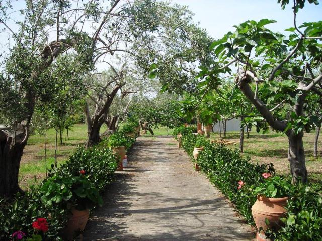 Il Giardino sul Mare