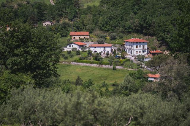 Agriturismo La Valle degli Ulivi