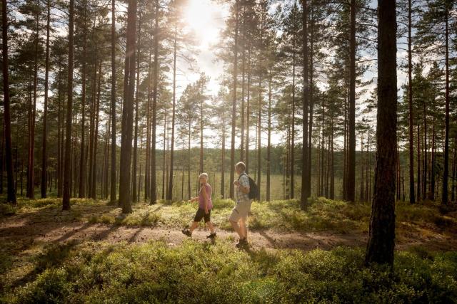 First Camp Hökensås-Tidaholm