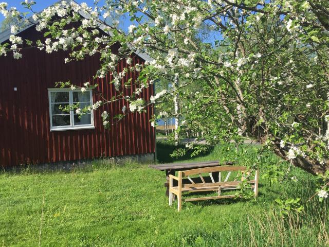 Tättas stuga på Malingsbo Herrgård