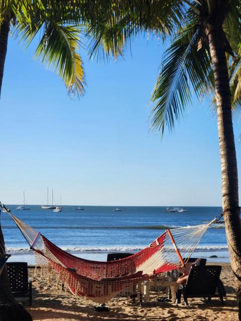 Hotel La Palapa